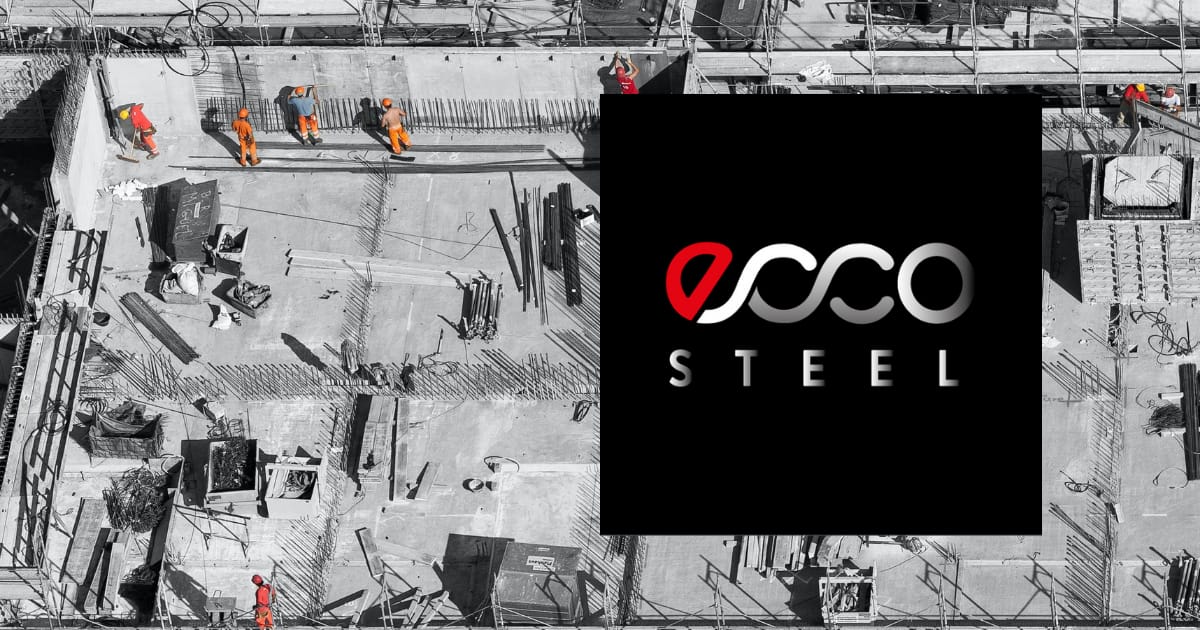 Ecco steel hotsell